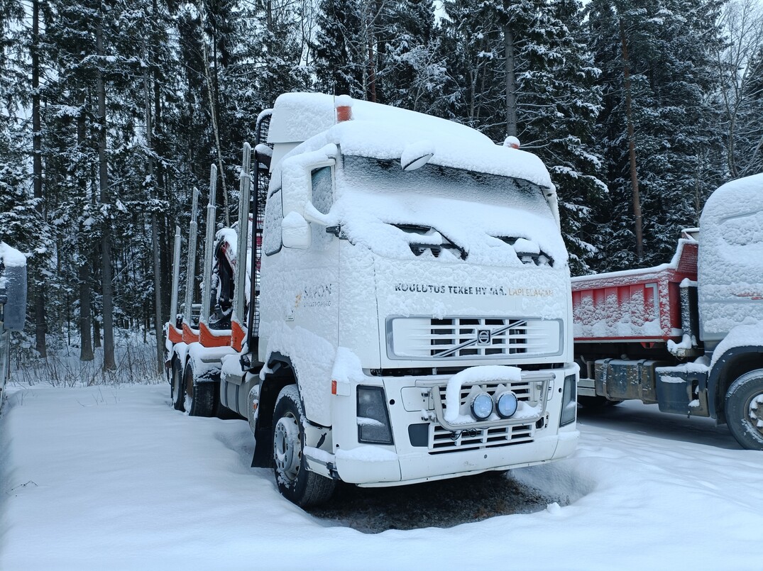 Volvo FH12 image